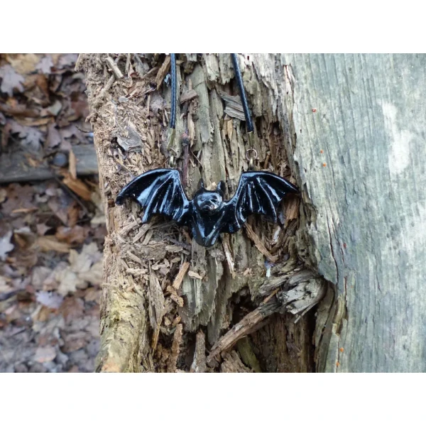 Czarny Lot / Black Flight